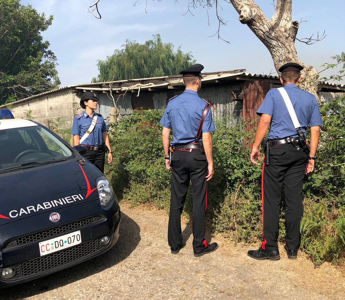 Una testa di pecora per intimidire un pastore nel Vibonese