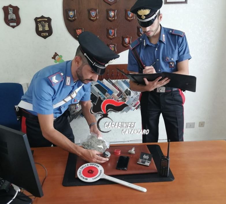 Il fiuto di “Collins” fa beccare un pusher a Sersale