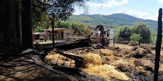 In fiamme un’azienda che alleva cavalli di razza nel Vibonese, si ipotizza il dolo