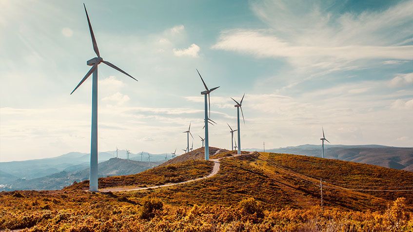 «Vogliono realizzare un mostro ecologico». Ambientalisti contro il mega parco eolico nella Locride