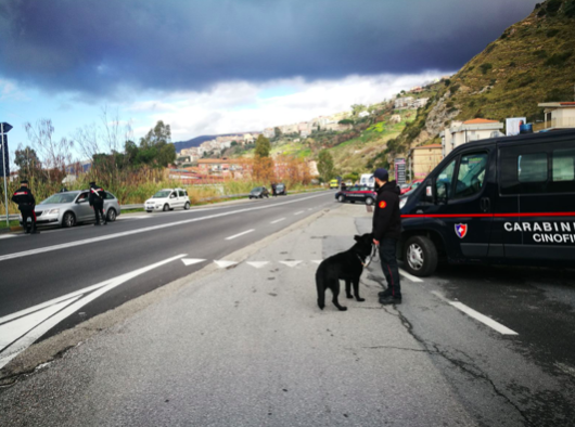 Sette fucili sequestrati nel Paolano