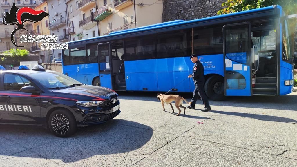 Controlli antidroga a Luzzi, operazione anche nelle scuole – FOTO