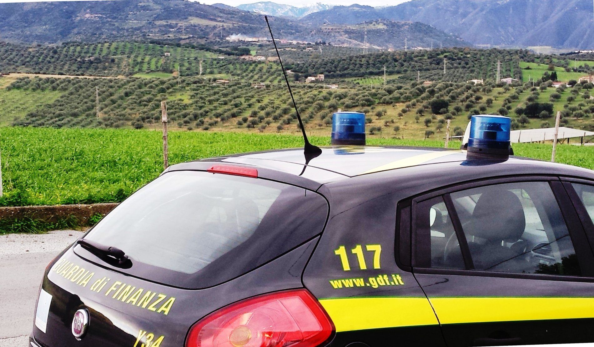 Truffa in agricoltura, 66 denunce a Crotone