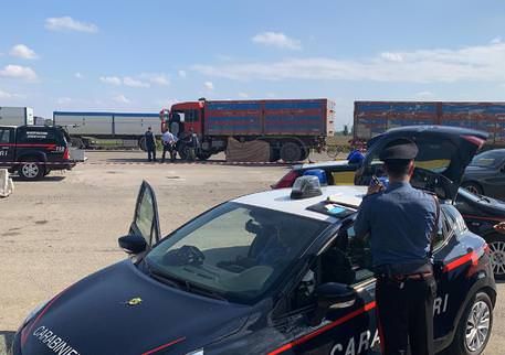 Investito e ucciso dopo una lite tra camionisti, nessun segno di frenata