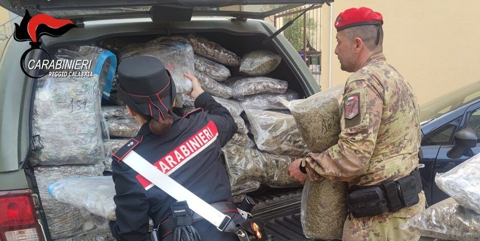 Circa 190 chili di droga, un fucile e munizioni: pluripregiudicato in manette a Rosarno – VIDEO