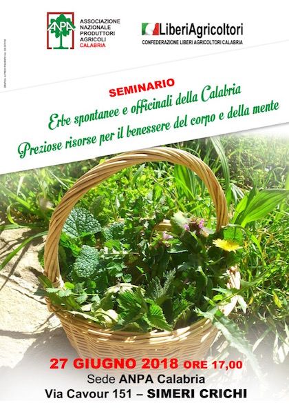 Alla scoperta delle erbe spontanee ed officinali calabresi