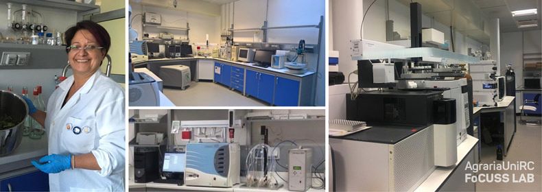 "Ginepro Feniceo" e "Gin di Calabria" negli studi del Focuss Lab