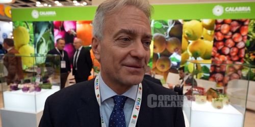 fruit logistica berlino Calabria Gallo