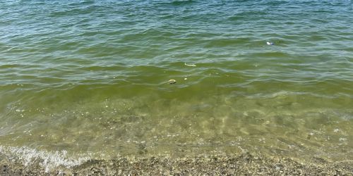 mare bivona VV procura