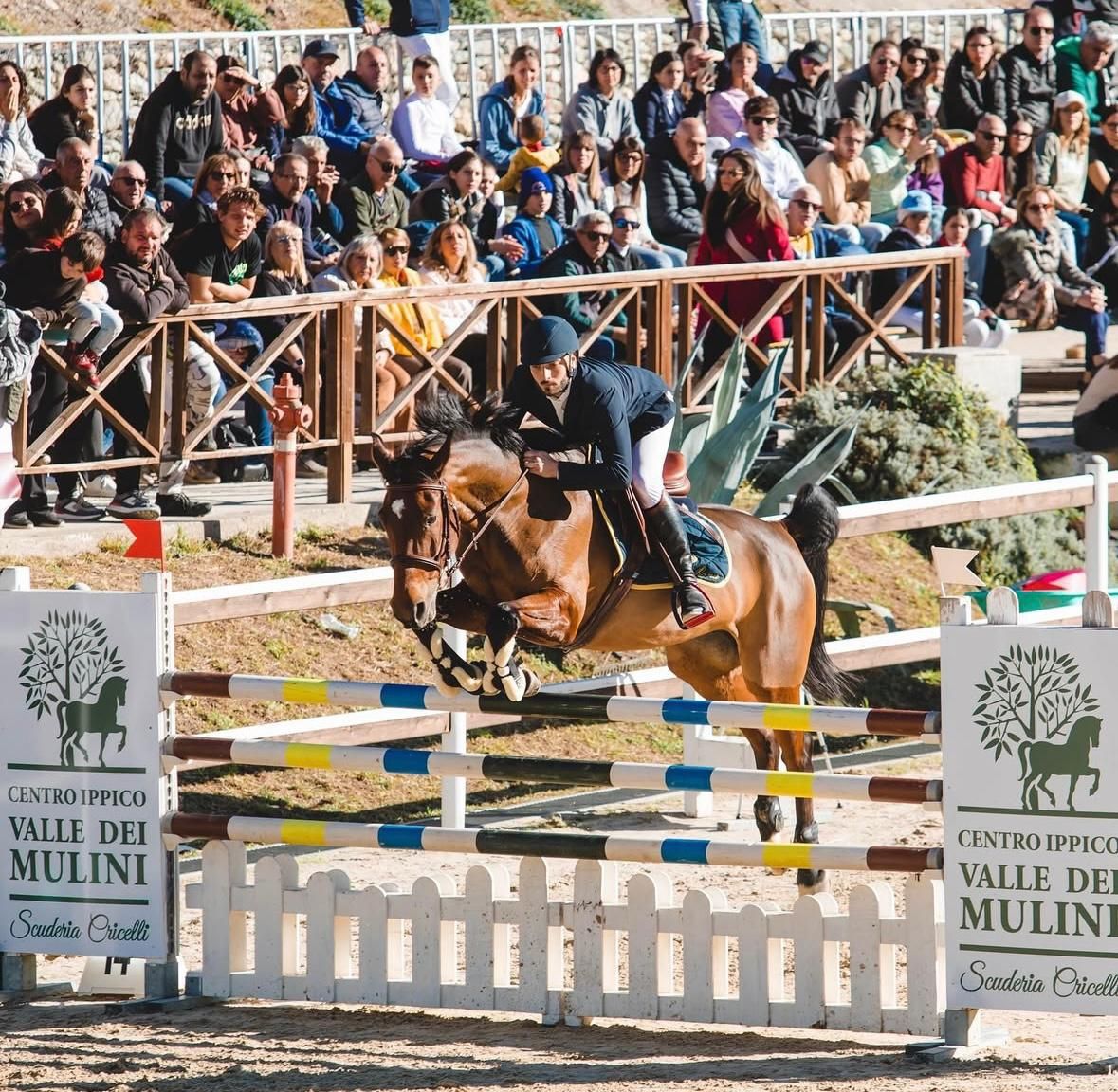 Catanzaro, domani il grande spettacolo dei cavalli a “Valle dei Mulini”