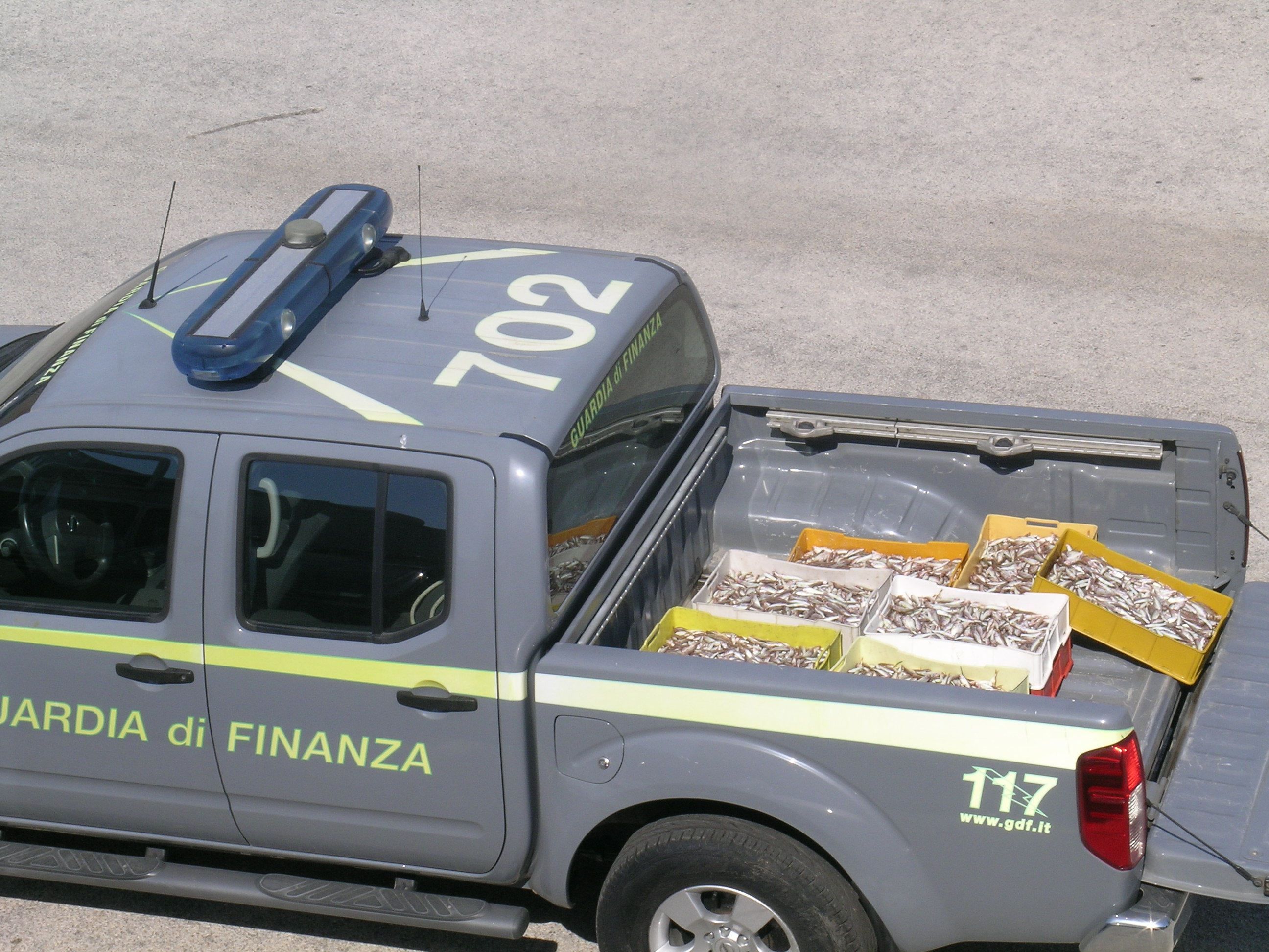 Villa, sequestrati 300 chili di novellame