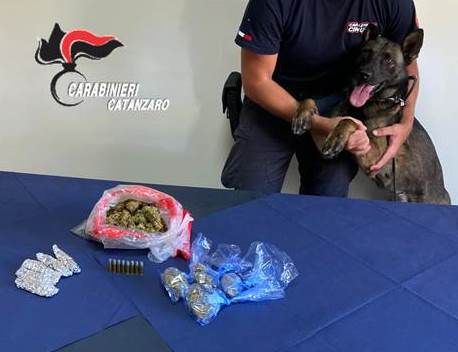 Marijuana e cartucce in casa, giovane ai domiciliari a Caraffa