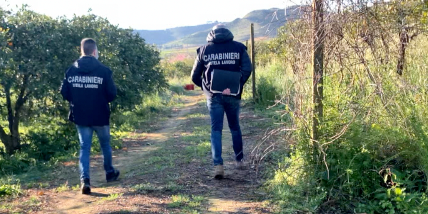 Braccianti sfruttati e malpagati, società agricola del Lametino sotto controllo giudiziario