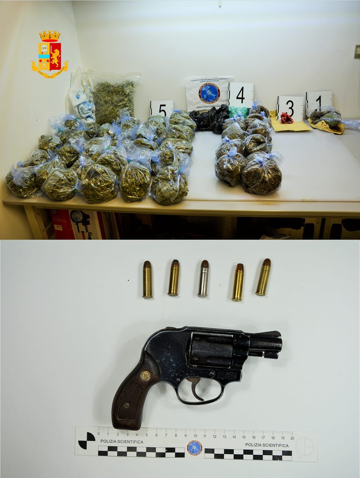 Cosenza, armi e sei chili di marijuana in casa: un arresto