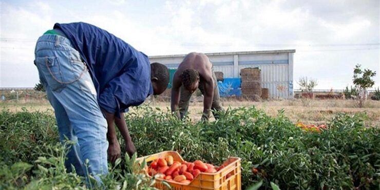 Sfruttamento dei lavoratori immigrati, blitz della Polizia anche in Calabria