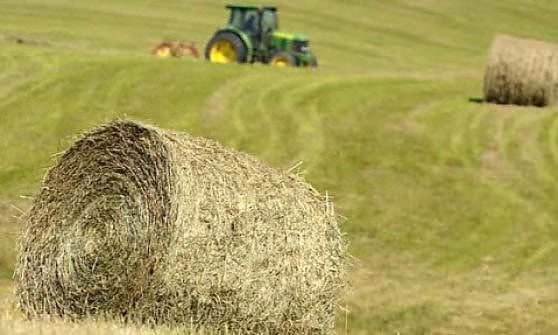 Agricoltura virtuosa, "Spighe verdi" per tre Comuni calabresi