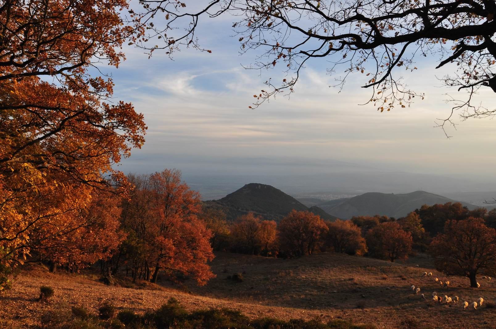 «La pandemia come lezione di vita»