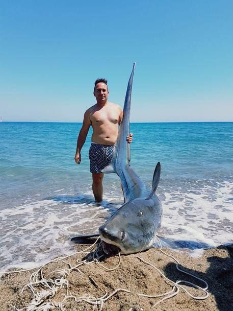 Squalo volpe di 200 chili pescato nel Crotonese