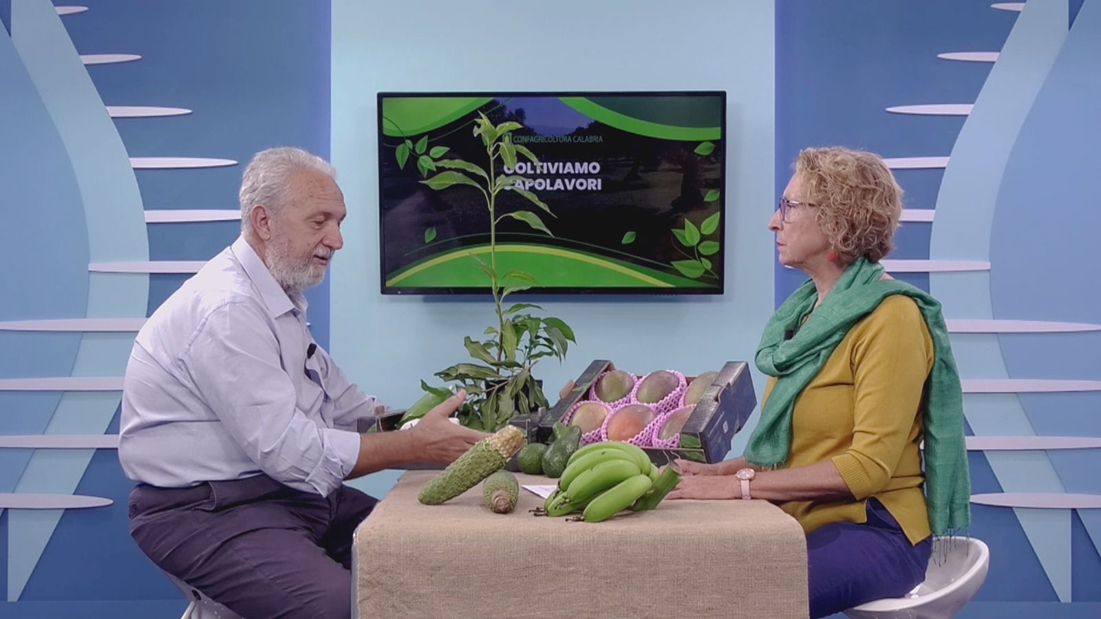 I pionieri della frutta tropicale tra passione e sperimentazione