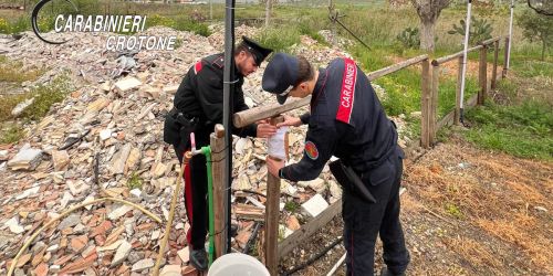 carabinieri discariche crotone
