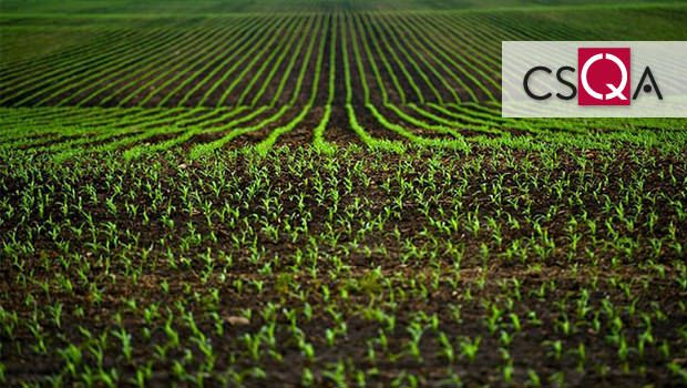 Certificazioni Bio, partenariato strategico tra Csqa e Igea