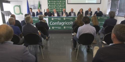 La politica risponde all'allarme di Confagricoltura. «Necessario dare risposte nel breve periodo»
