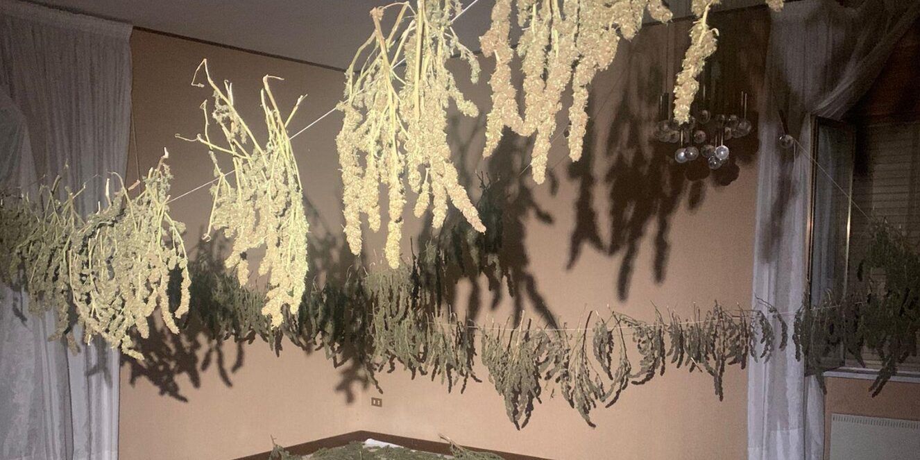 Corigliano, duro colpo alla criminalità locale, sequestrati 80kg di droga