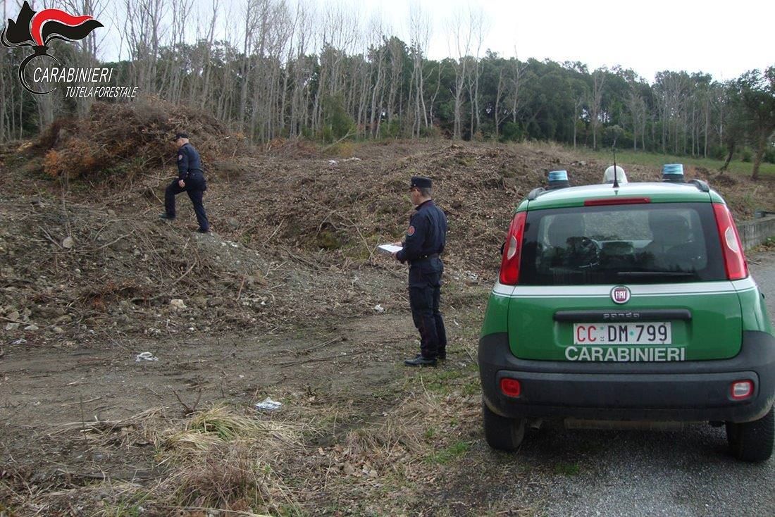 Estirpazione abusiva, due denunce nel Cosentino
