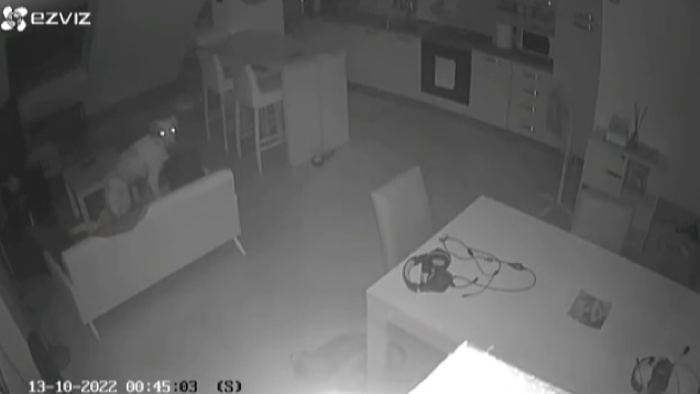 Forte scossa di terremoto, notte di paura nell’area di Catanzaro – VIDEO