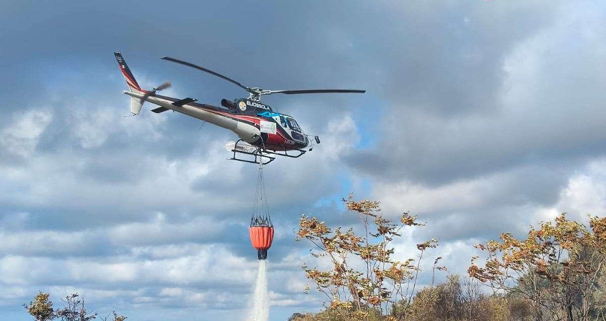 Incendio minaccia uliveto nel Vibonese, intervengono i Vigili del Fuoco