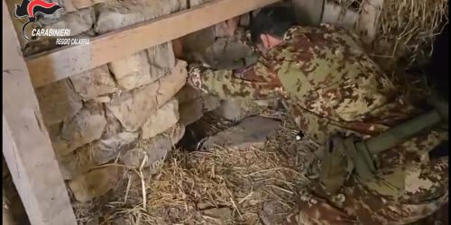 Un bunker sotterraneo trasformato in una piantagione di marijuana: la scoperta dei carabinieri a Platì - VIDEO