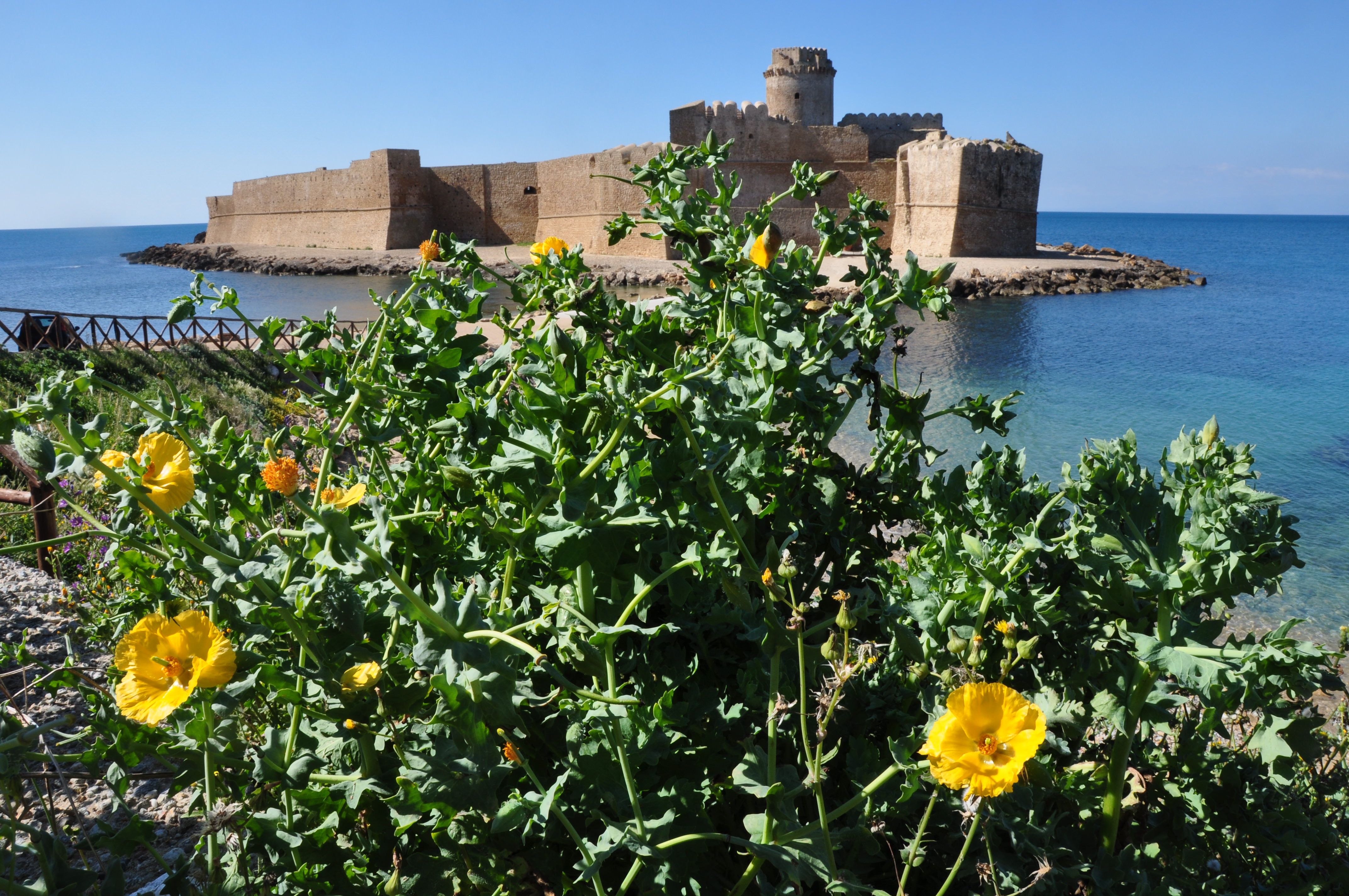 «Calabria: sarà vero amore?»