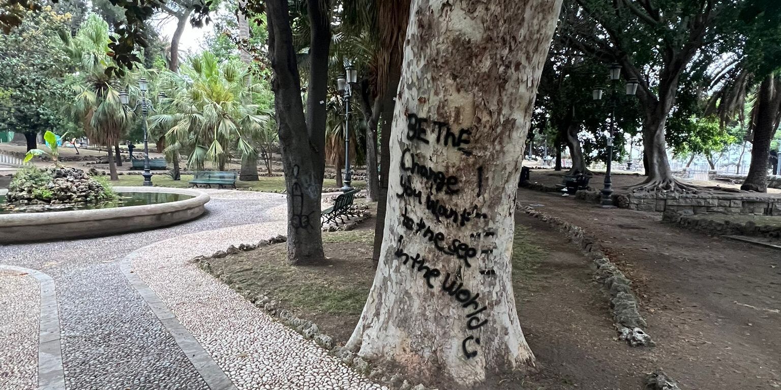 Alberi imbrattati nella Villa Comunale di Reggio. «Fatto grave che offende la coscienza di tutti i cittadini»