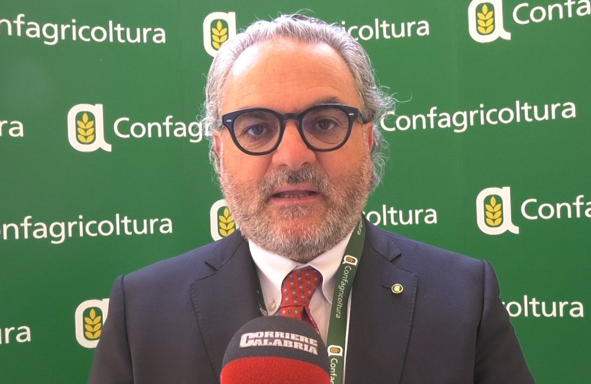 Proteste dei trattori, Statti: «Sensibili ai temi ambientali ma non possiamo trasformarci nei giardinieri d’Europa»