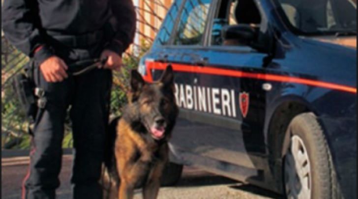 Blitz antidroga a Pescara, un reggino tra i latitanti – VIDEO