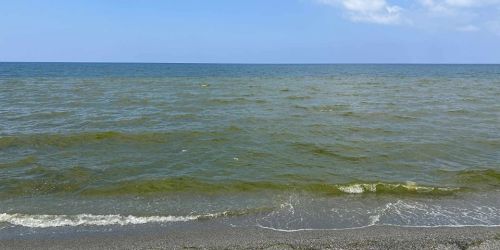 mare verdastro golfo di lamezia