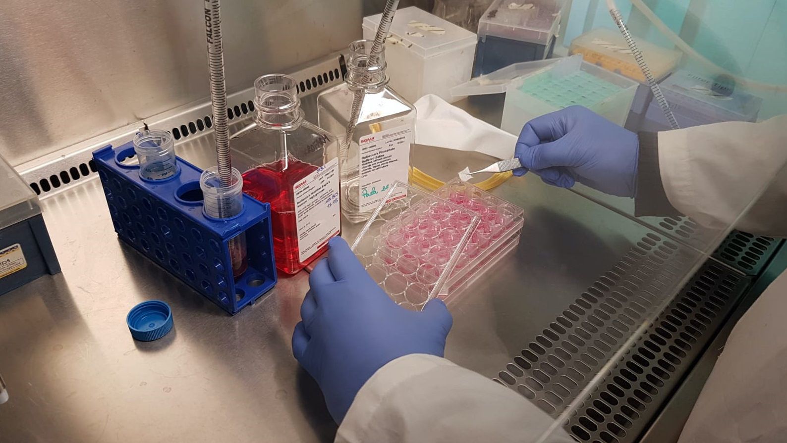 Coronavirus, l'Unical fa i test per certificare le mascherine