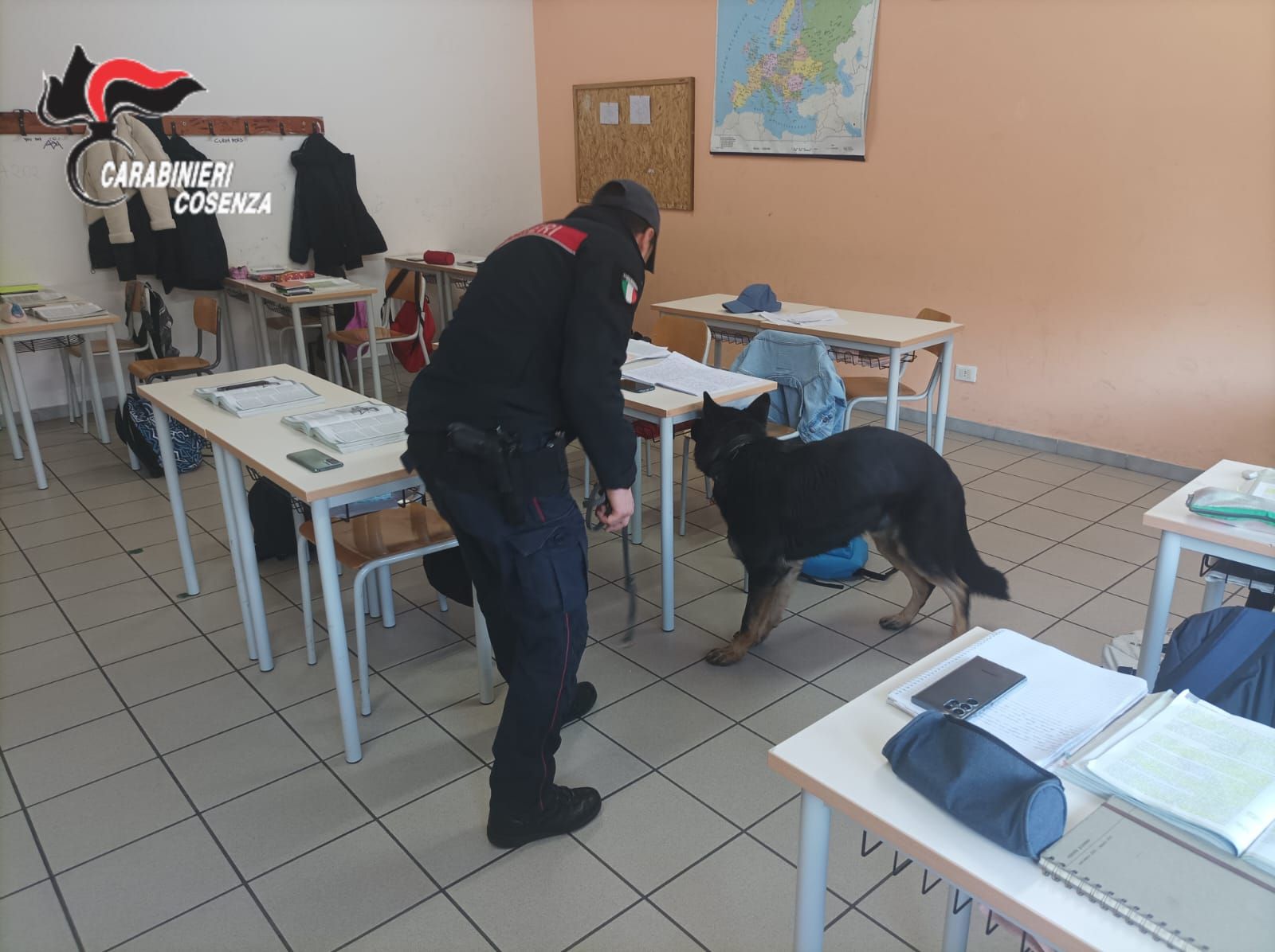 Controlli antidroga nelle scuole a Rogliano