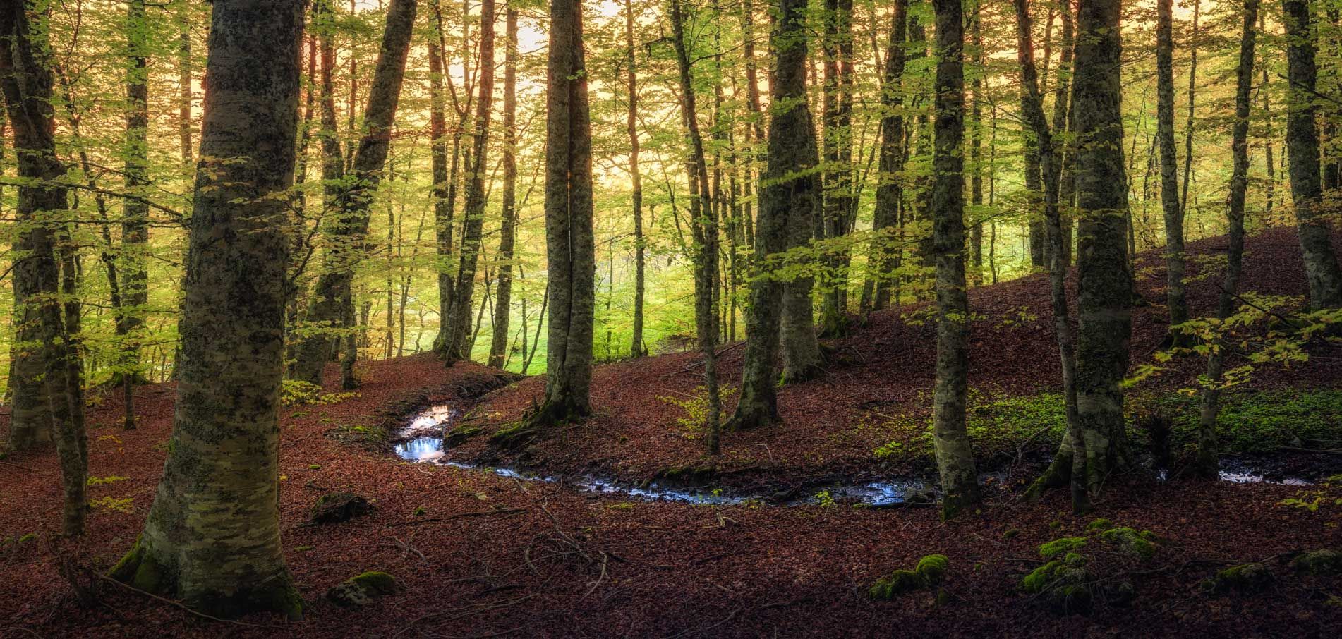 Il “Guardian” raccomanda il Pollino per le vacanze