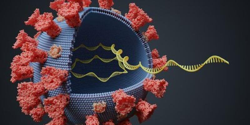 Covid, al via verifica sulle varianti del virus