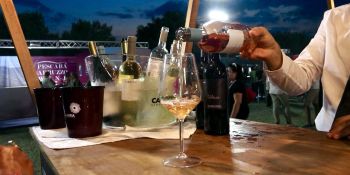 Vendemmia in Calabria, la sfida della qualità nell’estate più torrida