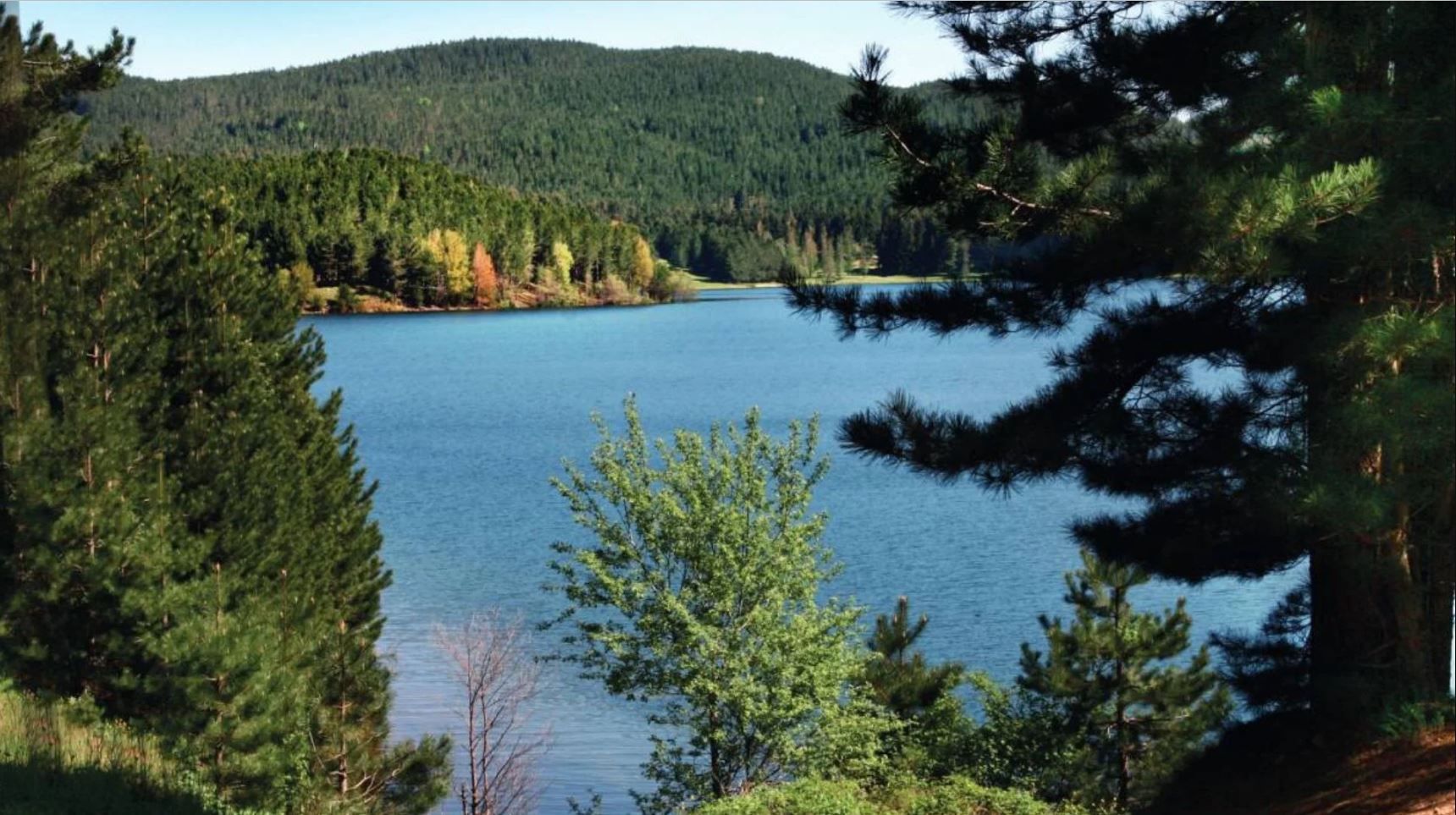 Biodiversità e aree protette, la Regione scommette sulle sue ricchezze naturali