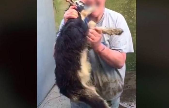 Morde la testa di un capretto e posta il video su Facebook