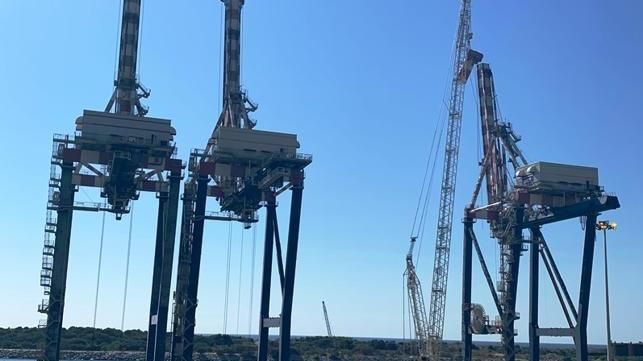 Gli «interessi» dell’imprenditore dei Piromalli sul Porto. Le mire sulla demolizione delle gru