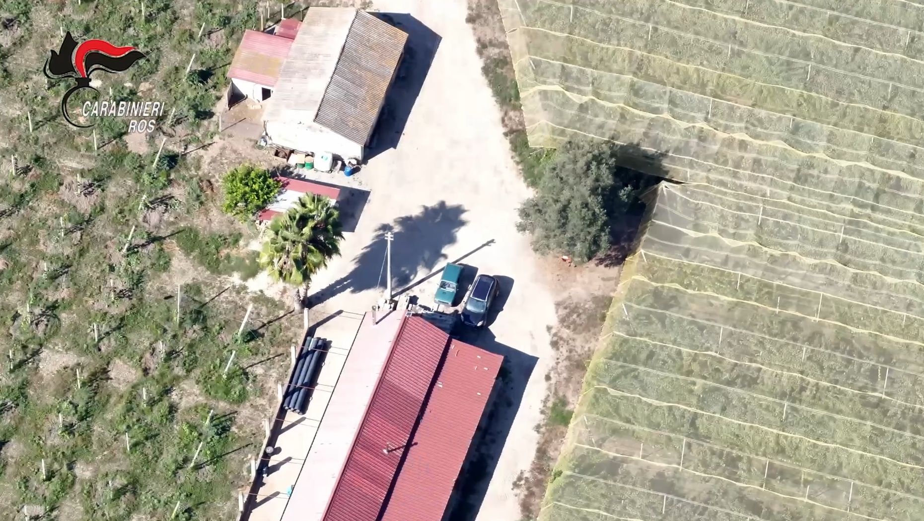 La “lottizzazione” e il piano per blindare il patrimonio per i figli: «il programma criminoso» dei Piromalli a Gioia Tauro