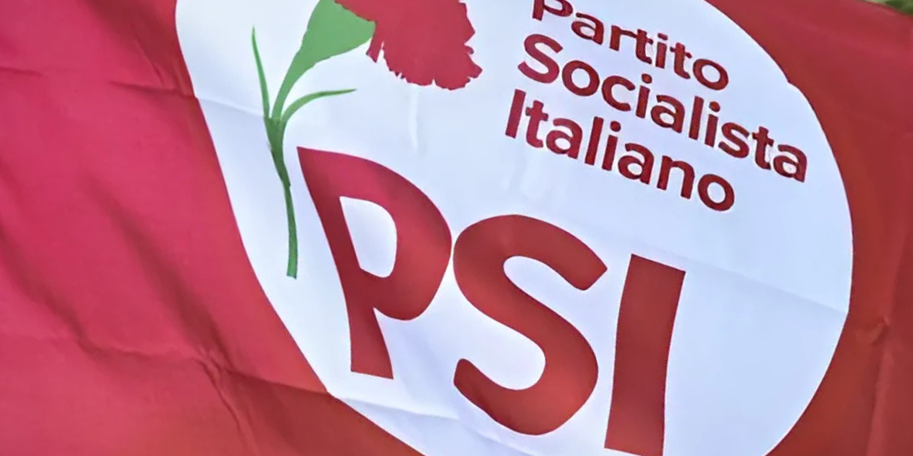 Principe, Aieta, Perrotta. In Calabria il garofano è un fiore sempre vivo