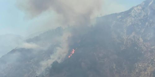 incendi aspromonte calabria