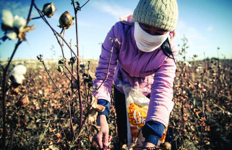 «Vigiliamo sullo sfruttamento del lavoro minorile»