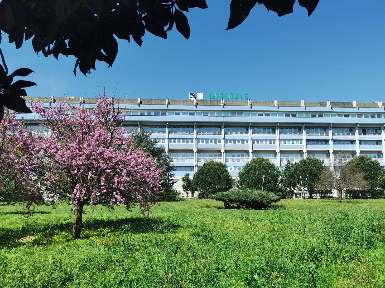 Lunedì 28 ottobre in arrivo all’Asp di Catanzaro altri 18 medici cubani