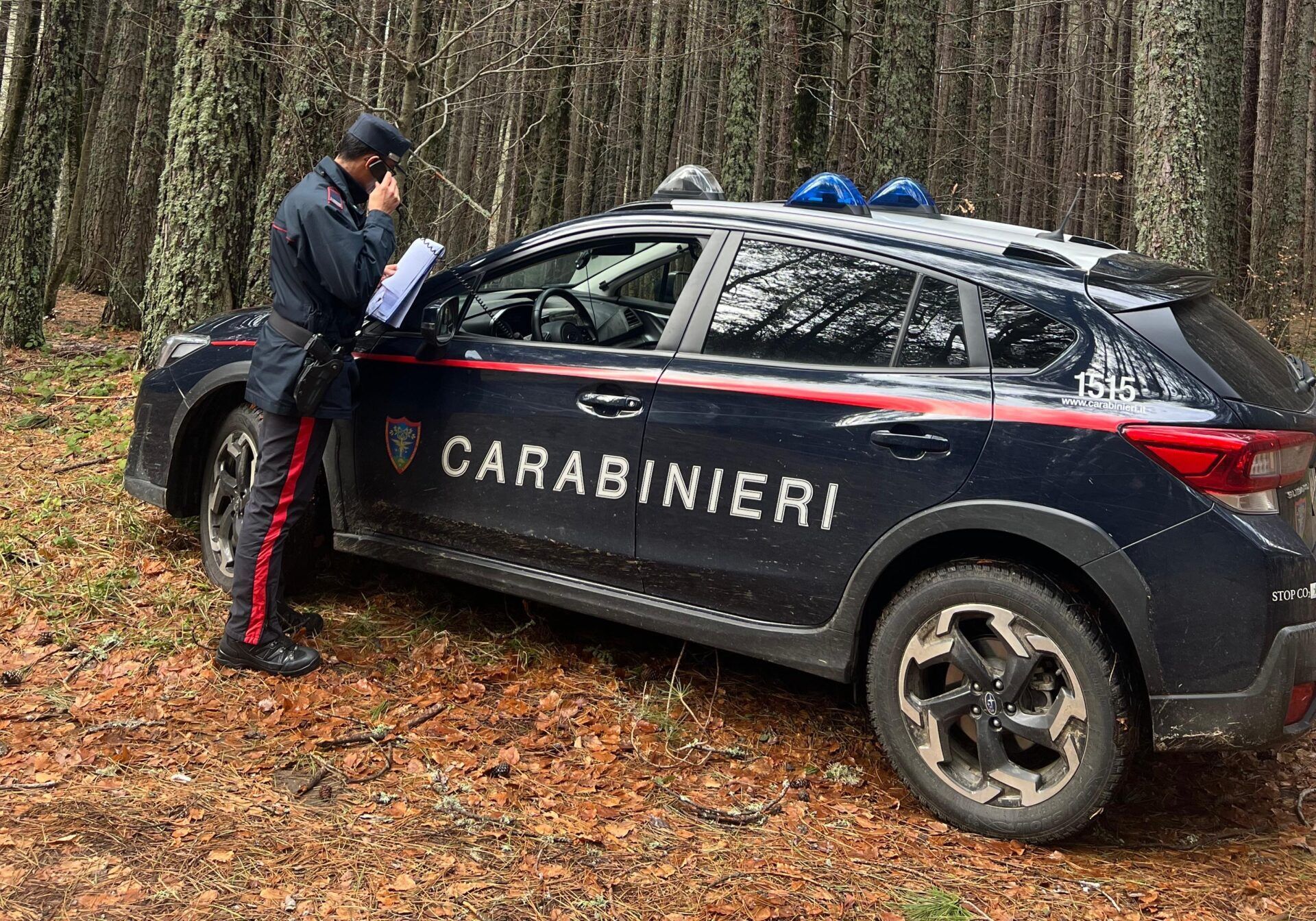 Introducono armi in zone vietate nel Parco della Sila, tre persone deferite